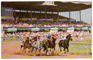 Finger Lakes Race Track, Canandaigua NY