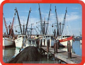 Postcard View of Mosquito Fleet Fishing Boats in Galveston, TX.   6.5 x 5.   N4