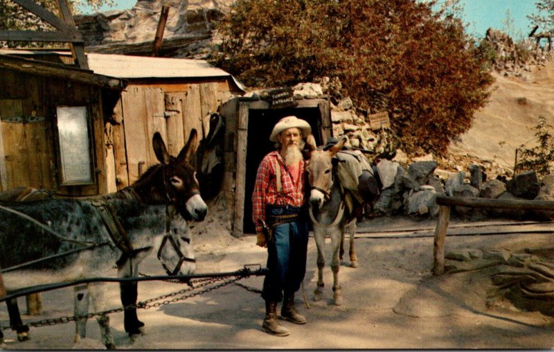 California Buena Park Knott's Berry Farm Old Prospector In Front Of Gold...