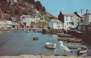 Cornwall Postcard - Waiting For an Early Breakfast, Polperro  RS24770