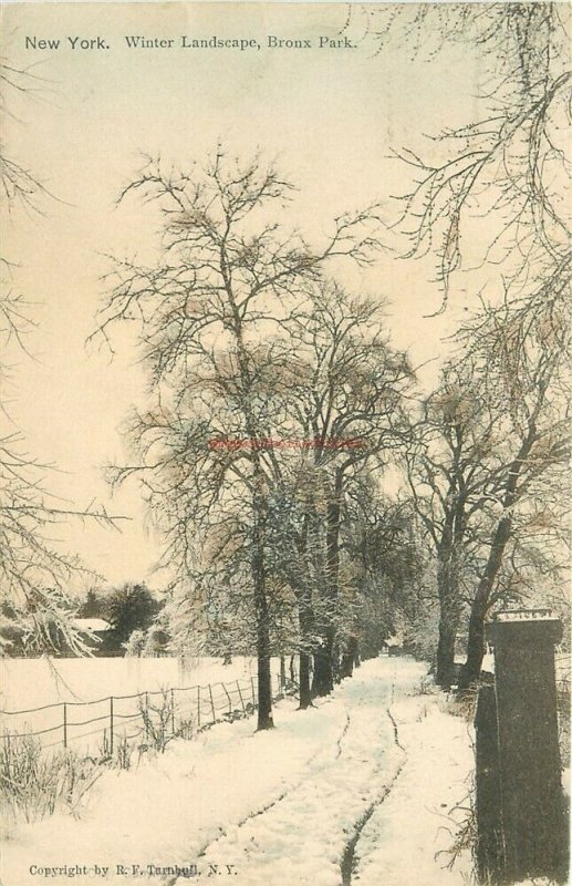 NY, New York City, Bronx Park, Winter Scene, R.F. Turnbull