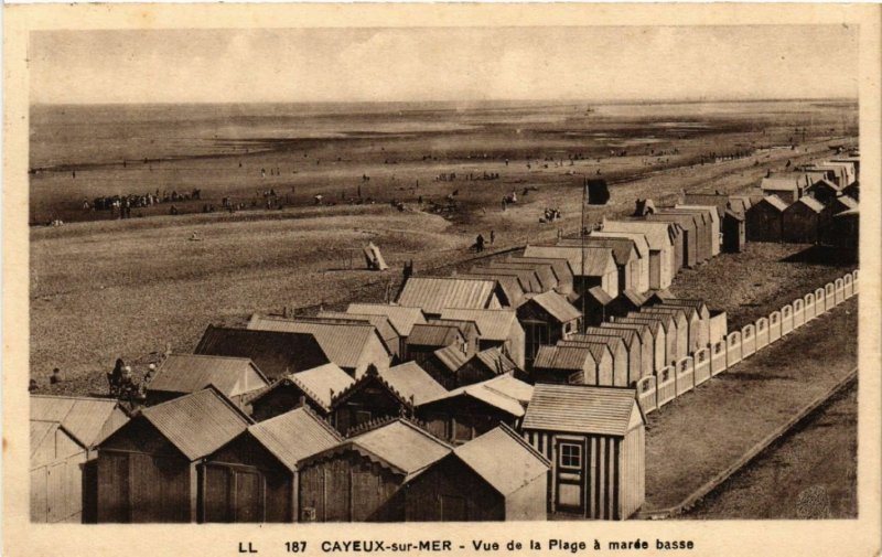 CPA CAYEUX-sur-MER - Vue de la Plage a marée basse (514514)