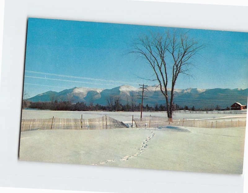 Postcard Snow Scene, Greetings from White Mountains, New Hampshire