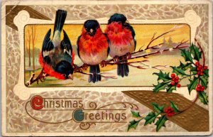 Christmas Greetings Birds on Branch Holly Berries Postcard