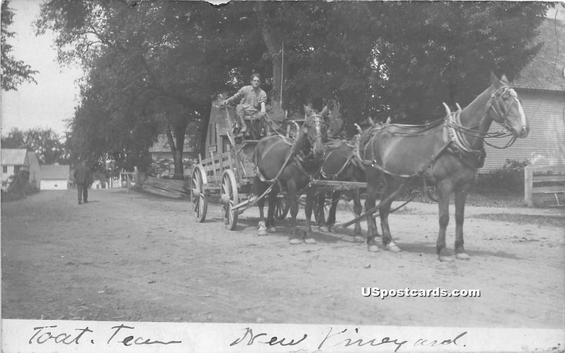 Horse & Carriage in New Vineyard, Maine