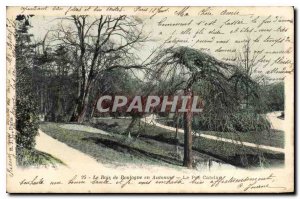 Old Postcard The Bois de Boulogne in the Autumn Park Catelan