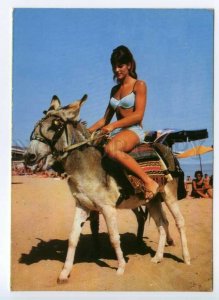 490644 Bulgaria Black Sea coast girl in a bathing suit a donkey Photo Old