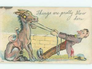 Divided-Back HORSE SCENE Great Postcard AA9399