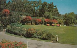 LP26  Pacific Palisades, California, CA, postcard, Will 