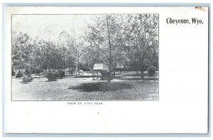 c1905 View in City Park Cheyenne Wyoming WY Antique Unposted Postcard