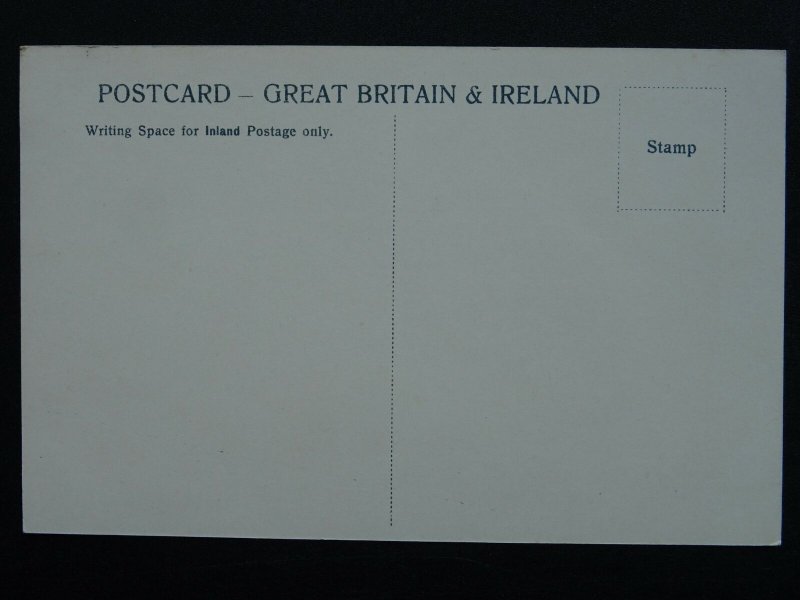 Famous Horse DISSENTER Hackney Stallion c1904 Postcard