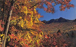 Fall Color in the Mountains Boone, North Carolina NC Postcard