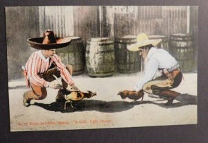 Mint Mexico Postcard Pelea de Gallos Chicken Cock Fight Fighting PPC