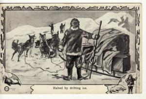 NORTH POLE EXPLORERS  COOK and PEARY  1909 postcard 14