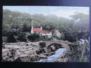 Newcastle upon Tyne THE OLD MILL - JESMOND DENE c1903 by Valentine