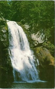 postcard PA - Bushkill Falls  - waterfall