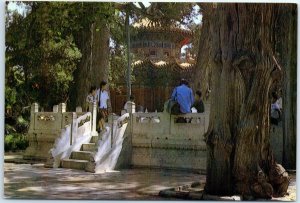 Postcard - Imperial Garden in the Palace Museum - Beijing, China