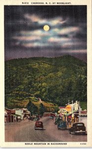 Postcard SHOPS SCENE Cherokee North Carolina NC AI5944