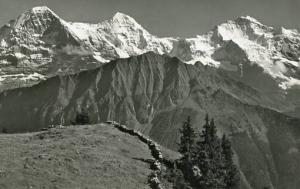 Switzerland - View of Schynigen Platte & Mts. Eiger, Monch & Jungfrau    *RPPC