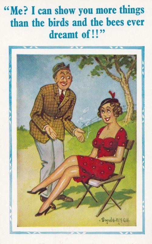 Birds & The Bees Man Boats Ultimate Sex Education Comic Humour Postcard