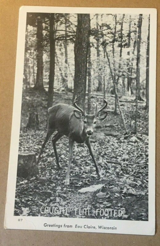 VINTAGE UNUSED RPPC POSTCARD CAUGHT FLAT FOOTED GREETINGS FROM EAU CLAIRE, WISC.