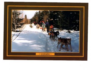 Dog Sledding, Canada