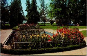 Vtg Lily Pond And Reflection Pool Amerige Park Fullerton California CA Postcard