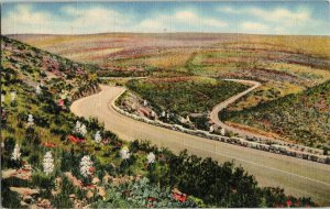 Scenic Drive Through Carlsbad Cavern National Park NM New Mexico Cancel Postcard 