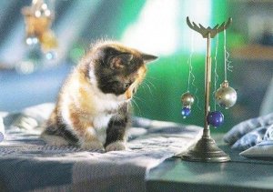 Kitten Cat Playing With Hanging Ball Balls Metronome Style Toy Postcard