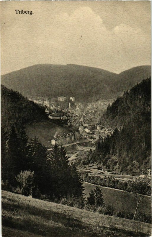 CPA AK Triberg- GERMANY (904654)