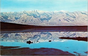 Badwater Death Valley National Monument Nevada Scenic Landscape Chrome Postcard