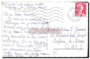 Old Postcard Dinard La Palmeraie Basically Saint Malo