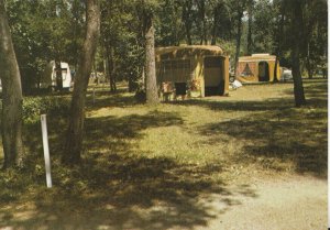 France Postcard - Calviac En Perigord - Camping Les Chenes Verts - Ref TZ5375