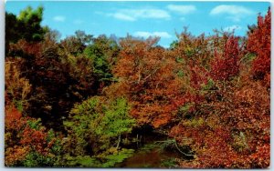 M-47685 Fall Foliage on Cape Cod Massachusetts