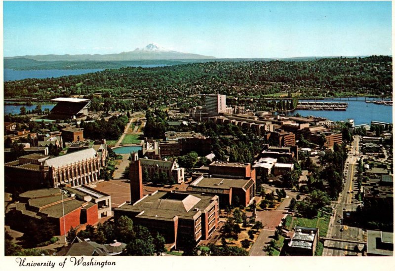 Seattle, Washington - The University of Washington- Large Size - c1960s