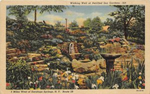 Saratoga Springs New York 1953 Postcard Wishing Well at Petrified Sea Gardens