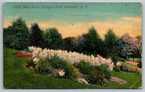 Bear Grass  Highland Park   Rochester   New York  Postcard  c1910