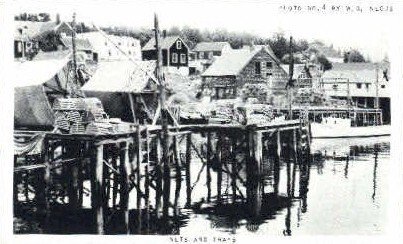 Nets & Traps in Portland, Maine