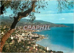 Postcard Modern Flower Riviera Sanremo Panorama from West