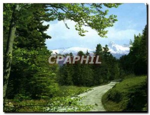 Postcard Modern Touristic Alps Villard de Lans Isere Promenade in Bois Barbu ...