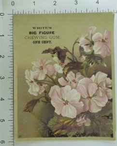 1880's White's Big Figure Chewing Gum Flowers Victorian Trade Card #F