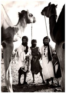 Morocco  Types Marocains  with Camels