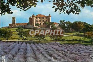 Postcard Modern Landscape Verdon Gorge in France Lavender Field near the Chat...