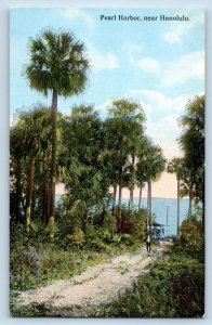 Honolulu Hawaii HI Postcard Pearl Harbor Birds Eye View Palm Trees 1910 Vintage