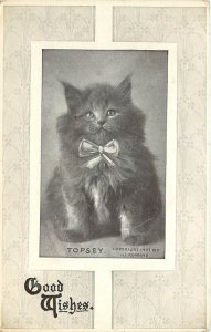 Postcard Vignette of Little Gray Cat WIth Bow Topsy Good Wishes Robbins S/A