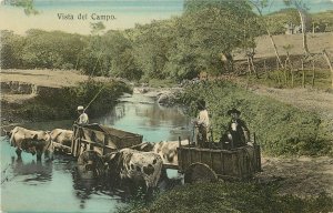 Hand-Colored Postcard; Vista de Campo, Ox Carts crossing River, Costa Rica 