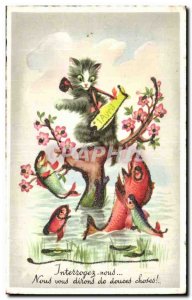 Festivals - Wishes - Fish of April - April Fool - being white Cat Chased by a...