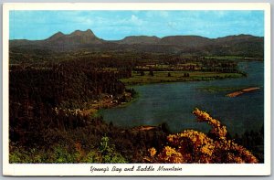 Vtg Astoria Oregon OR Young's Bay & Saddle Mountain 1950s View Old Postcard