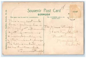 c1910 Road Hill View at Devils Hole Bermuda Antique Posted Embossed Postcard