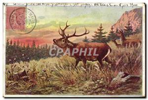 Old Postcard Deer Hunting